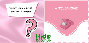 Brain Teaser 3