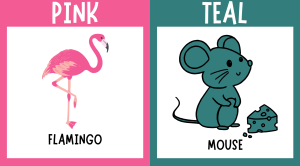 Colour Flashcard
